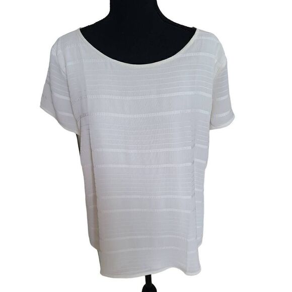 Ann Taylor Factory White Pull Over Short Sleeve T Shirt Medium - Picture 1 of 12